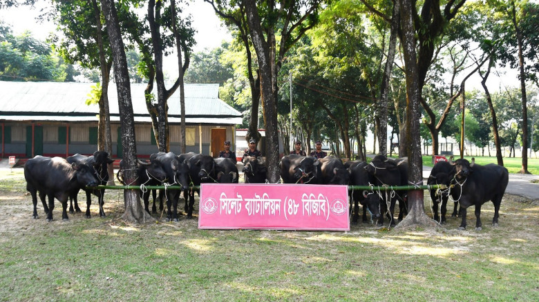 Goods Worth Nearly Tk 5 Crore Seized in Joint Operation by B